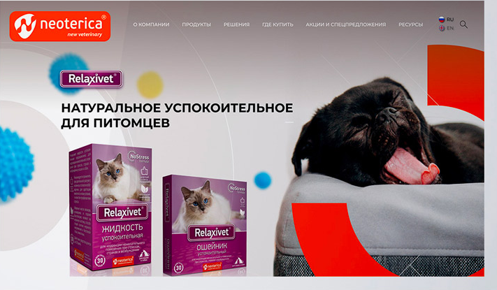 Успешное преобразование сайта